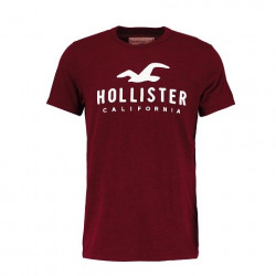 Hollister Co.